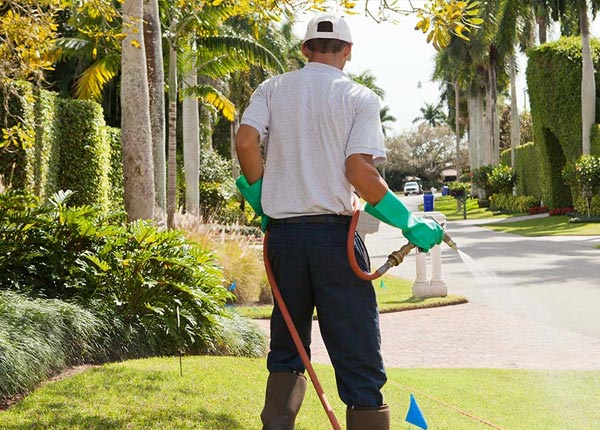 About Rock Falls IA Pest Control